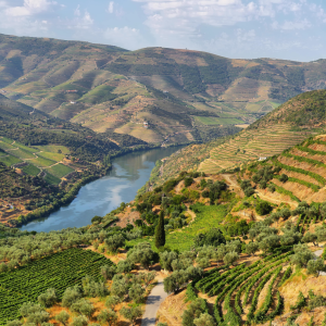 Vale de Douro